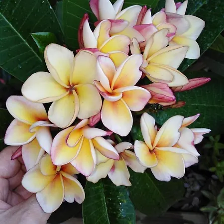 Centre Urban Art Couette-café 4*