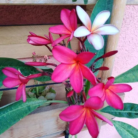 Couette-café Centre Urban Art Catane